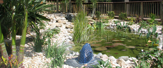 Lanscaping Ponds Melbourne